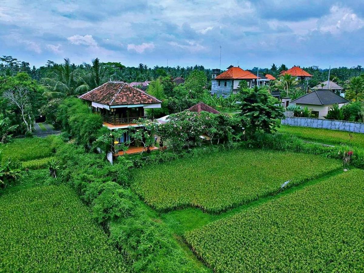White Villa Ubud Ngoại thất bức ảnh