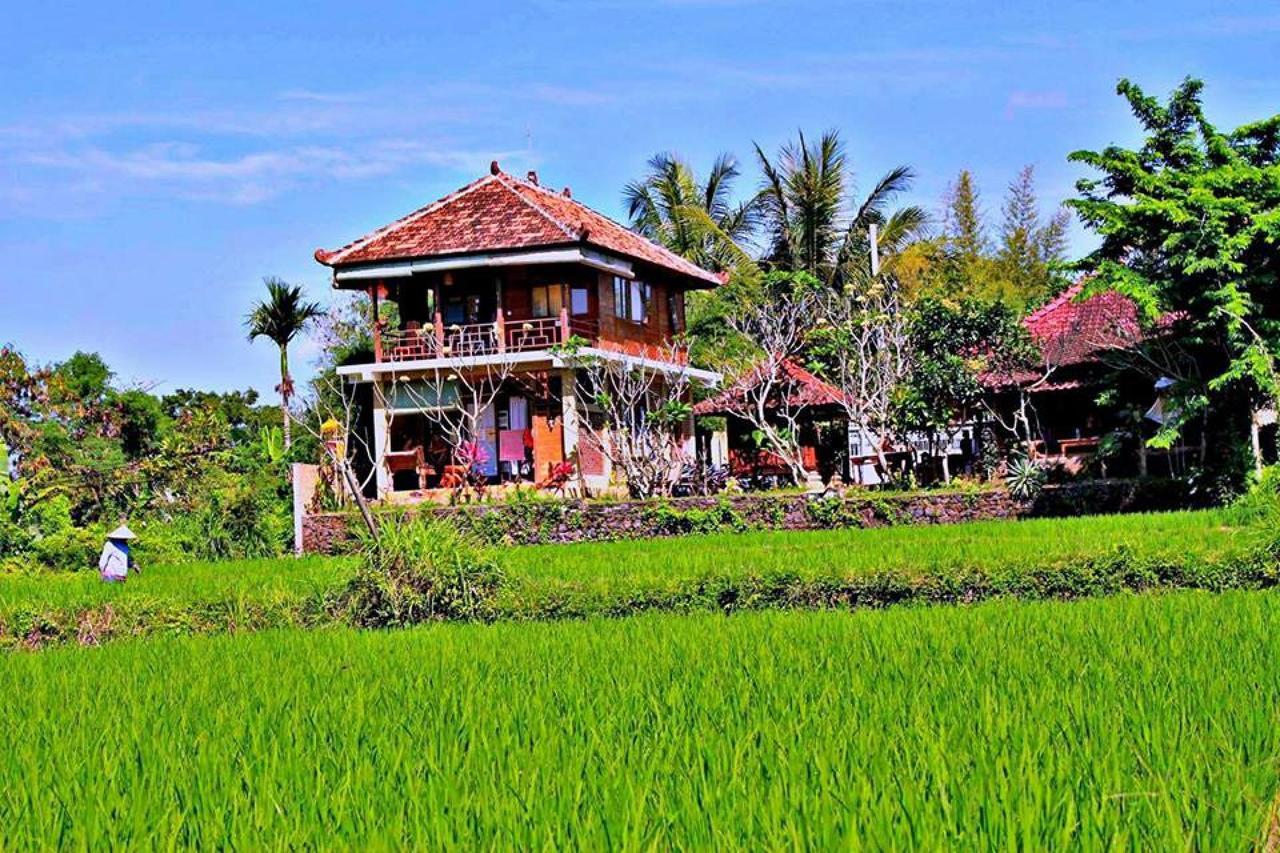 White Villa Ubud Ngoại thất bức ảnh
