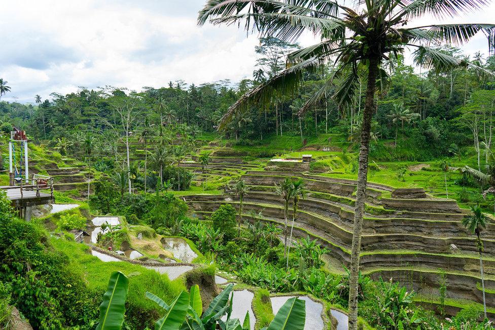 White Villa Ubud Ngoại thất bức ảnh